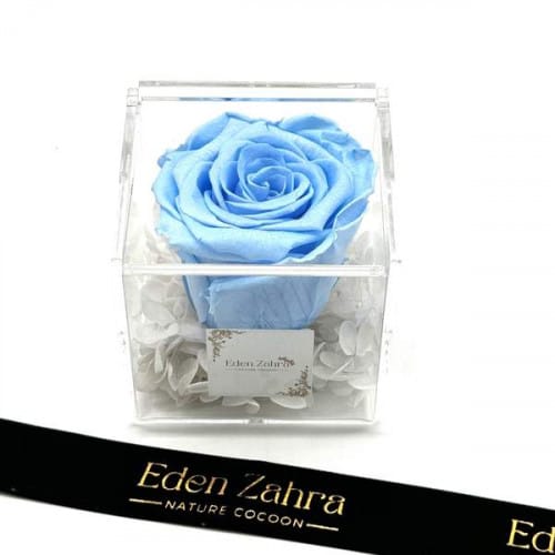 Pure Blue